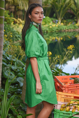 Lace to the Back Dress - Green | Coop