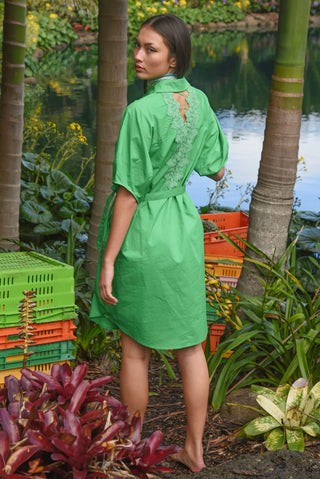 Lace to the Back Dress - Green | Coop