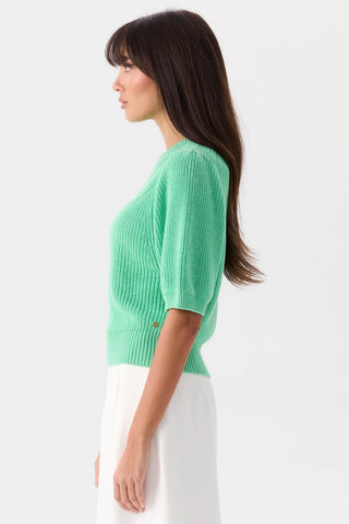 Elissa Tee – Apple | Mia Fratino
