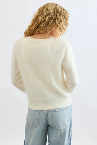 Sienna Cardi - Polar
