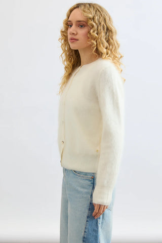 Sienna Cardi - Polar