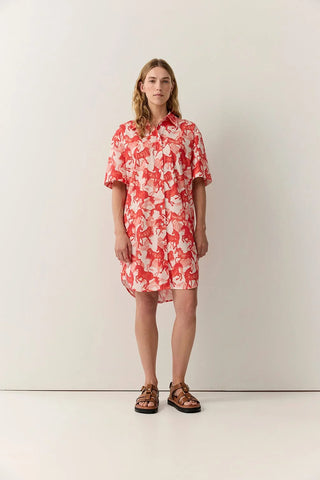 Horse Print Shirt Dress - Persimmon | Iris & Wool