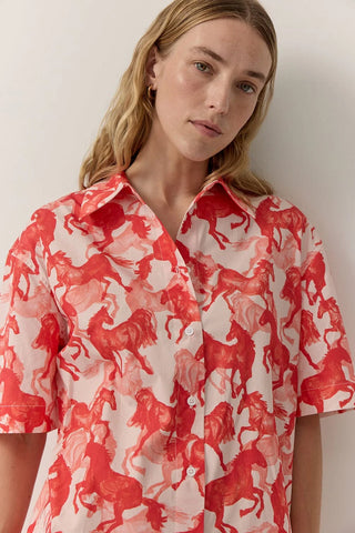 Horse Print Shirt Dress - Persimmon | Iris & Wool