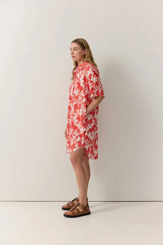 Horse Print Shirt Dress - Persimmon | Iris & Wool